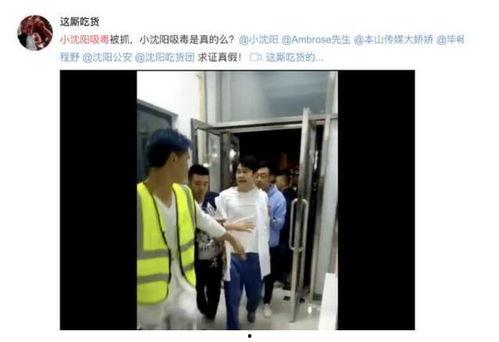 王二妞爆料视频播放大全,揭秘娱乐圈幕后真相