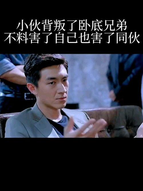 叛逆卧底在线观看,卧底风云，揭秘卧底背后的惊心动魄  第1张