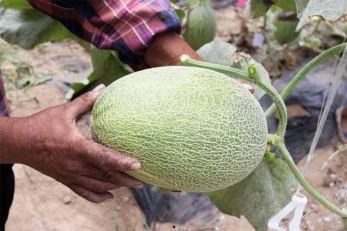 近期宿迁网红吃瓜合集,盘点近期热门事件