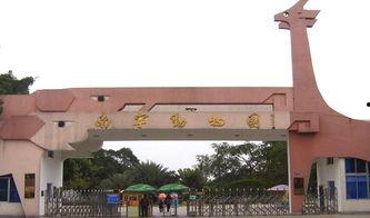 南宁动物园爆料案件最新,惊现动物逃脱事件,真相揭秘! 第1张 南宁动物园爆料案件最新,惊现动物逃脱事件,真相揭秘! 第1张